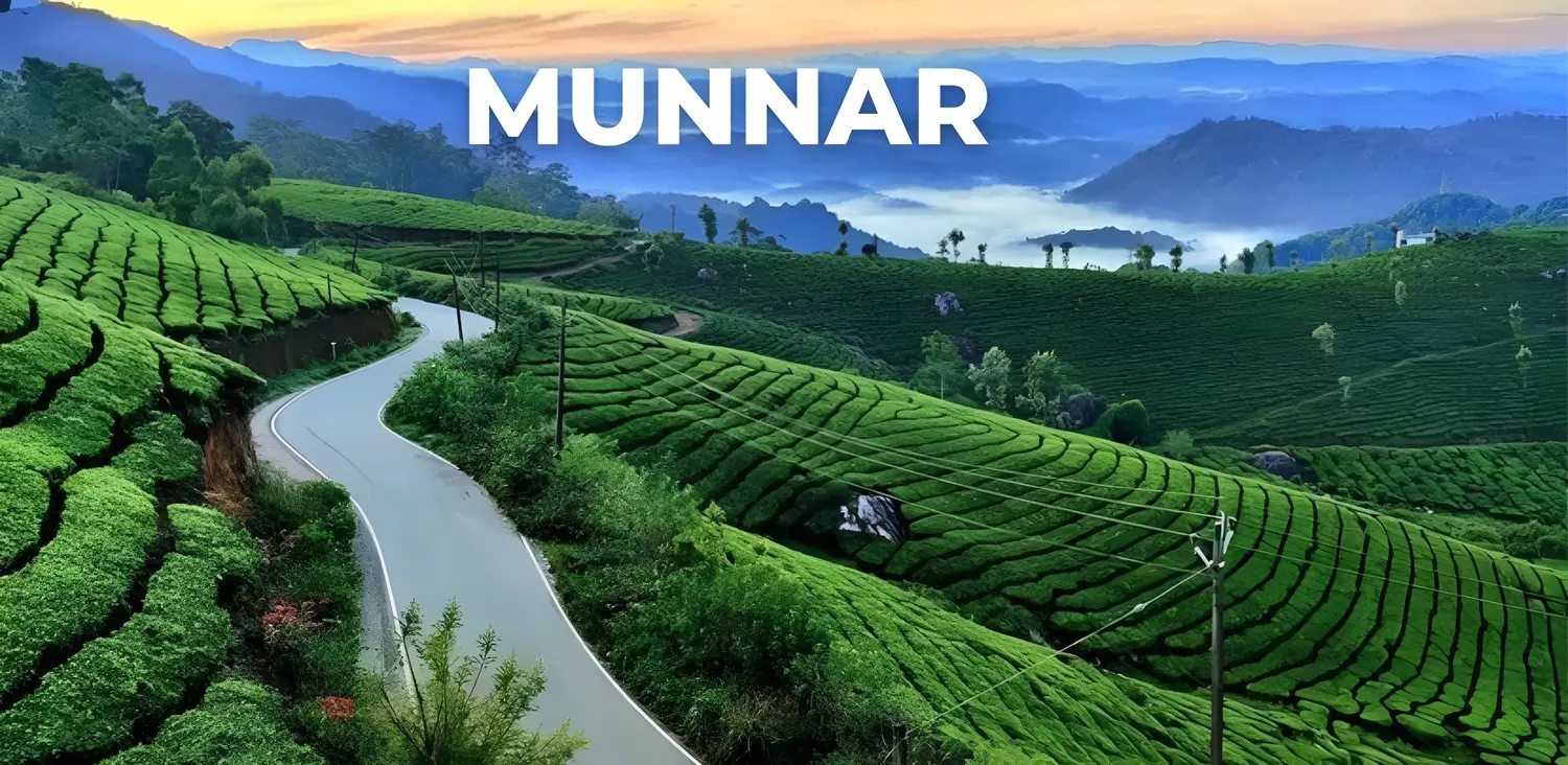 Experience Munnar Kerala tea gardens holiday tour package