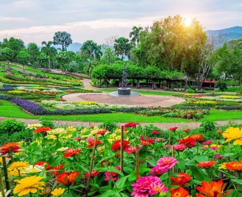 Download Trip Banner