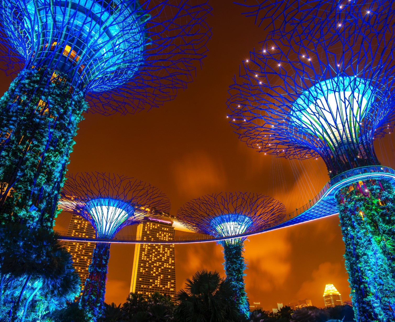 Download Trip Banner