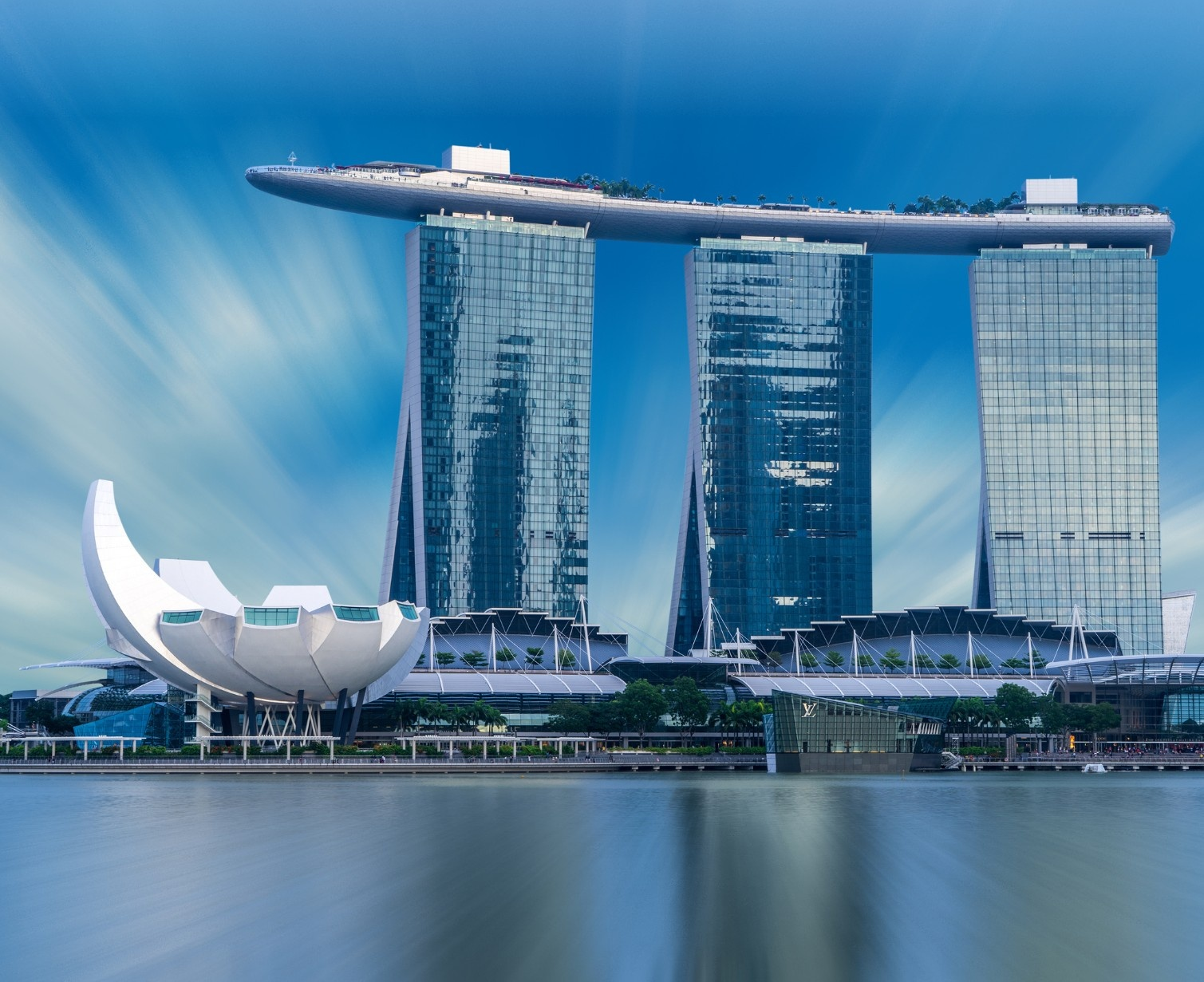 Download Trip Banner