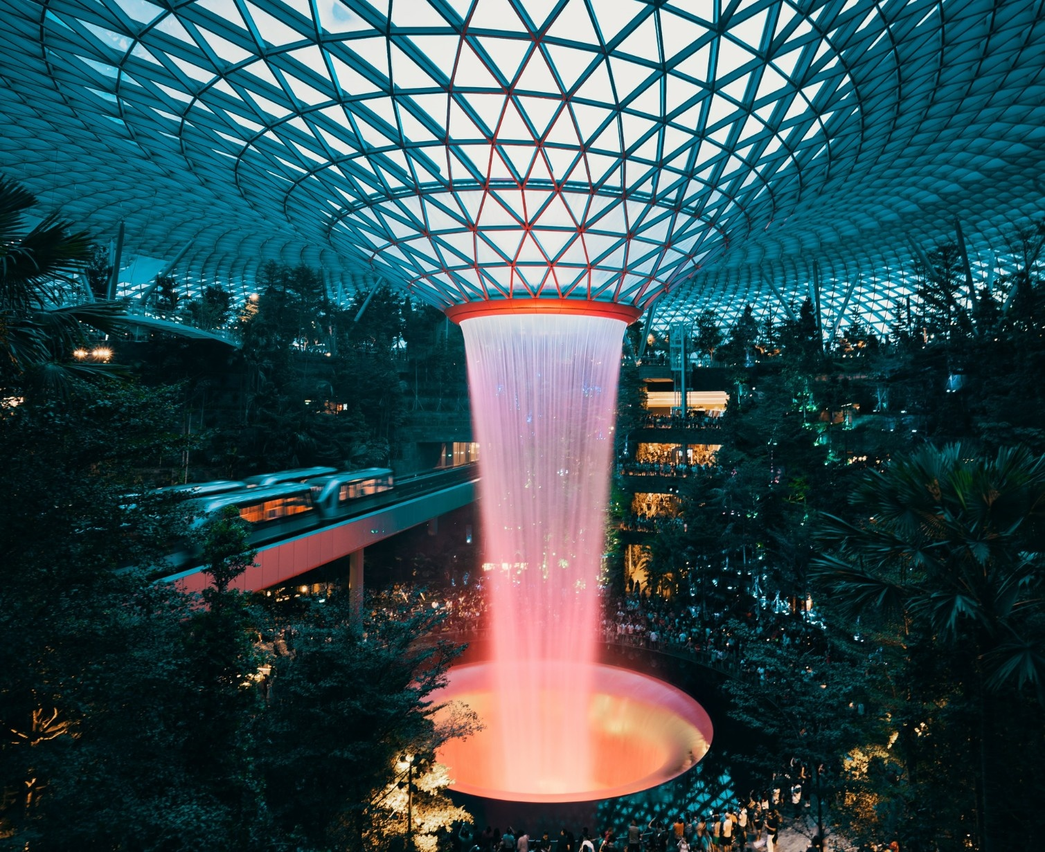 Download Trip Banner