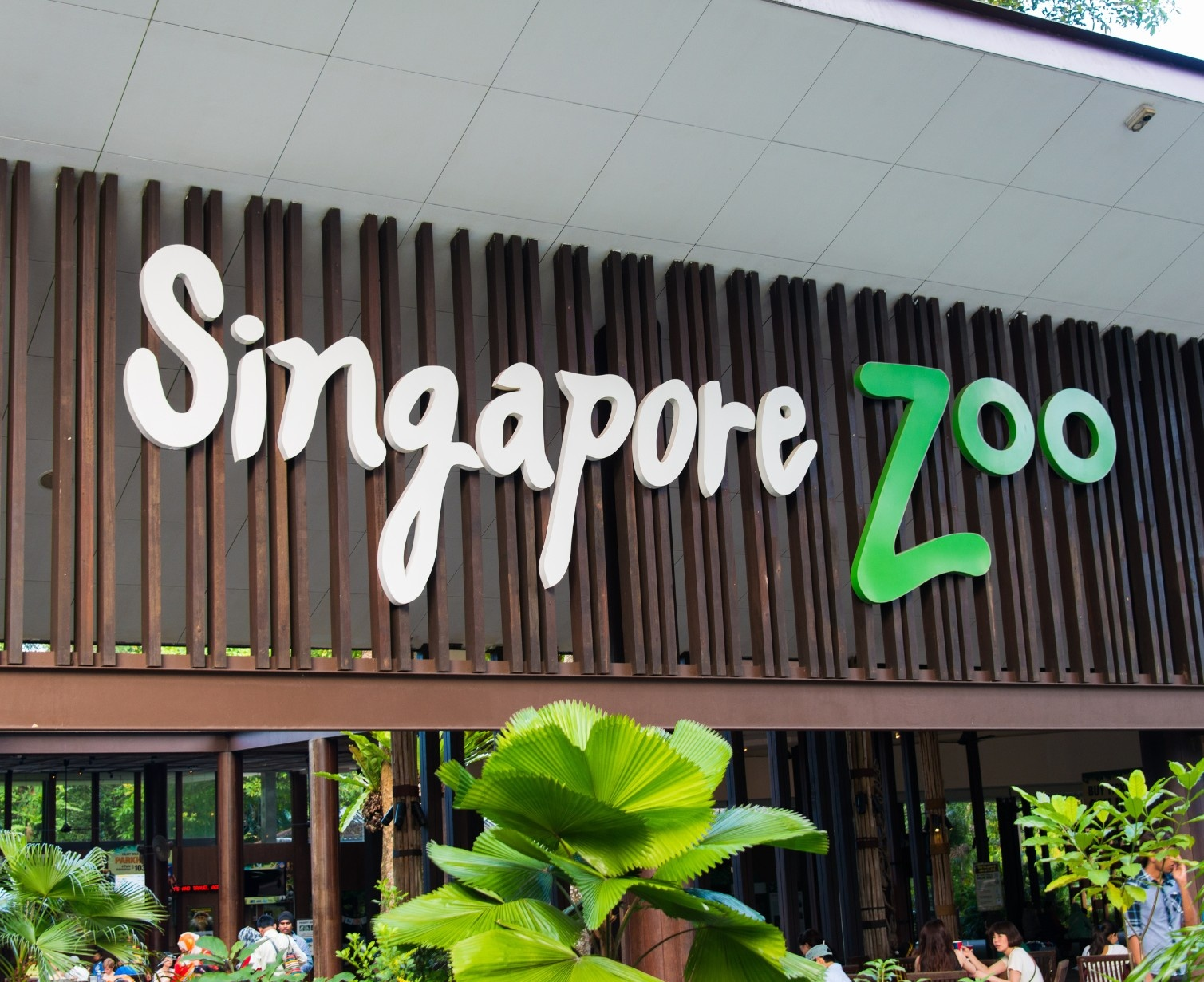 Download Trip Banner