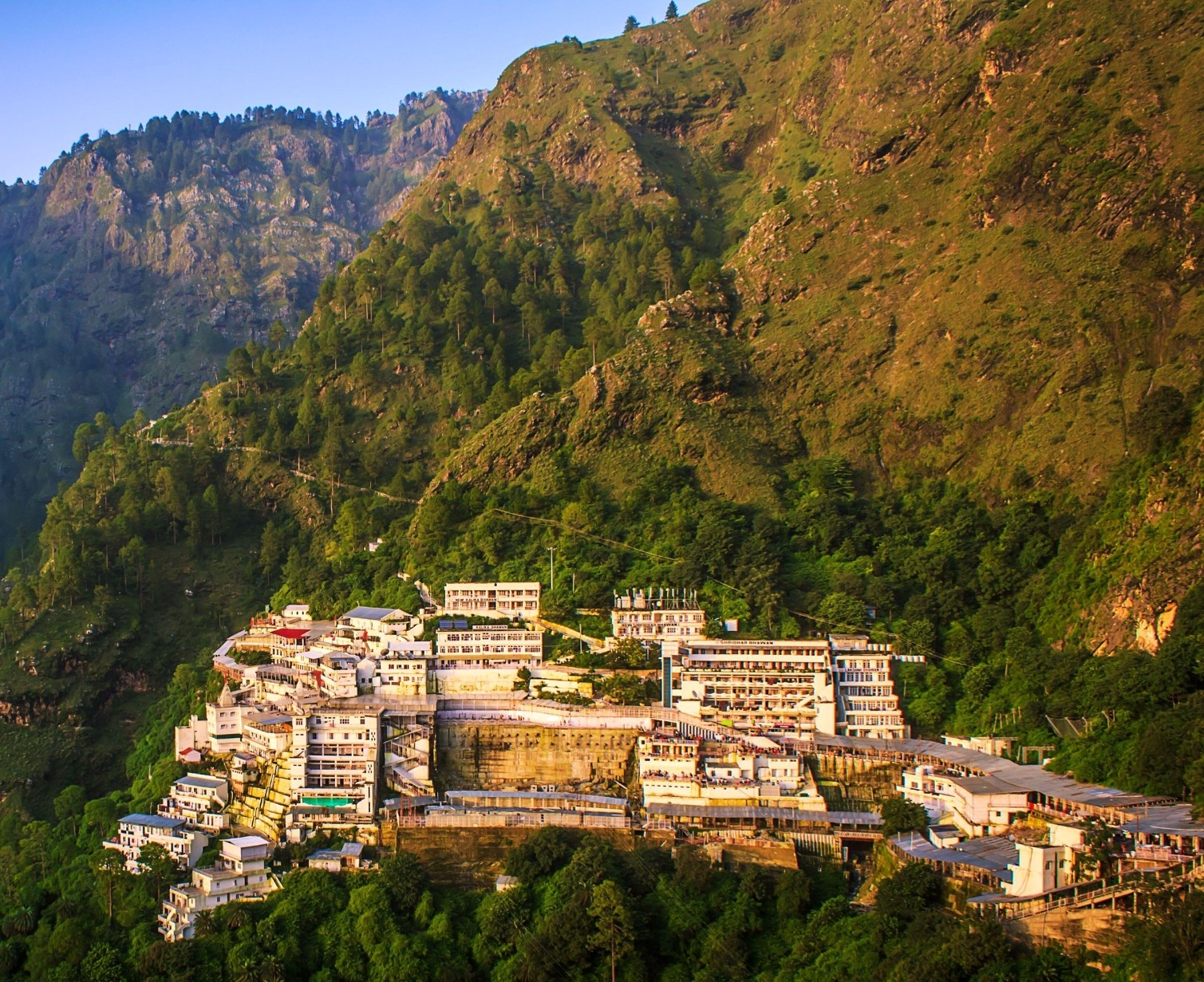 Download Trip Banner