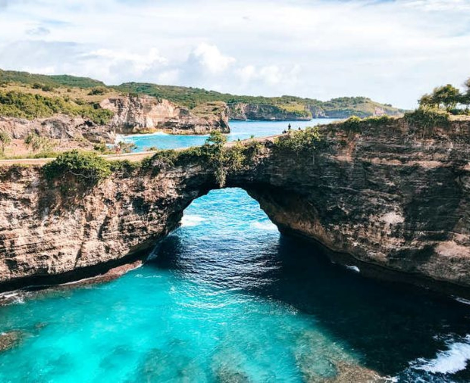 Download Trip Banner