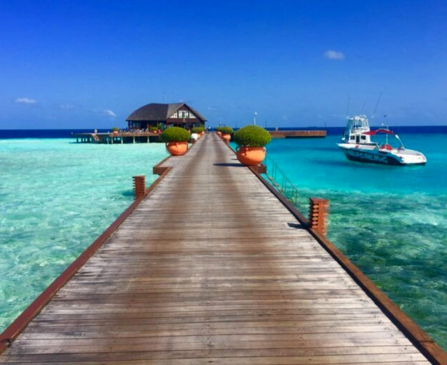 Download Trip Banner