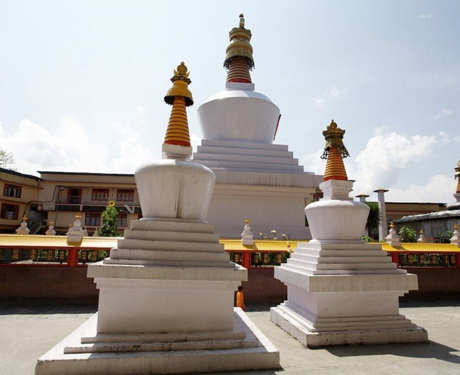 Download Trip Banner