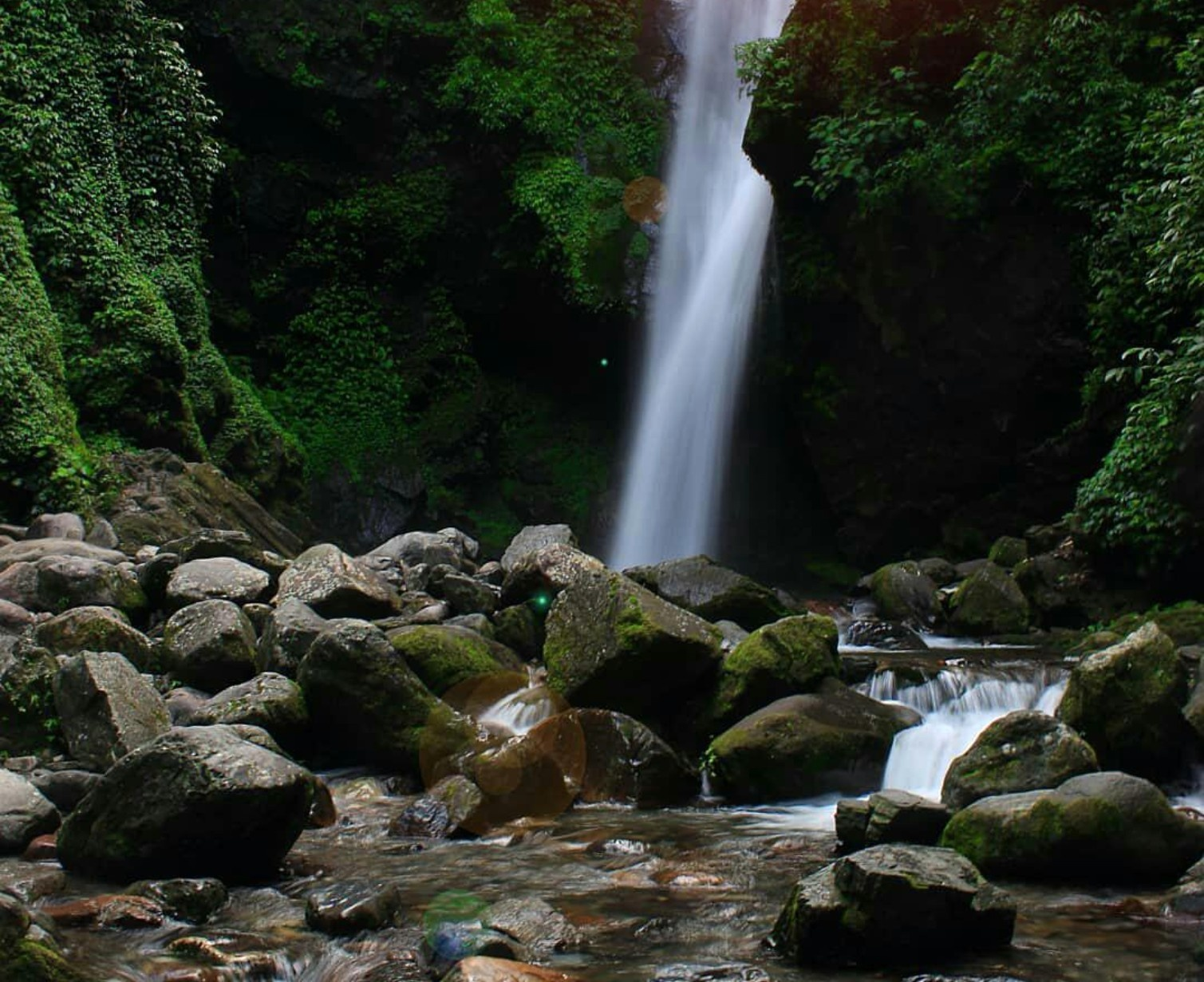 Download Trip Banner