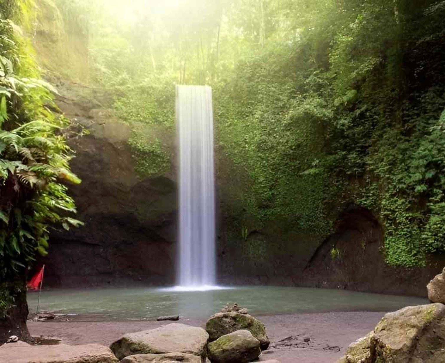 Download Trip Banner