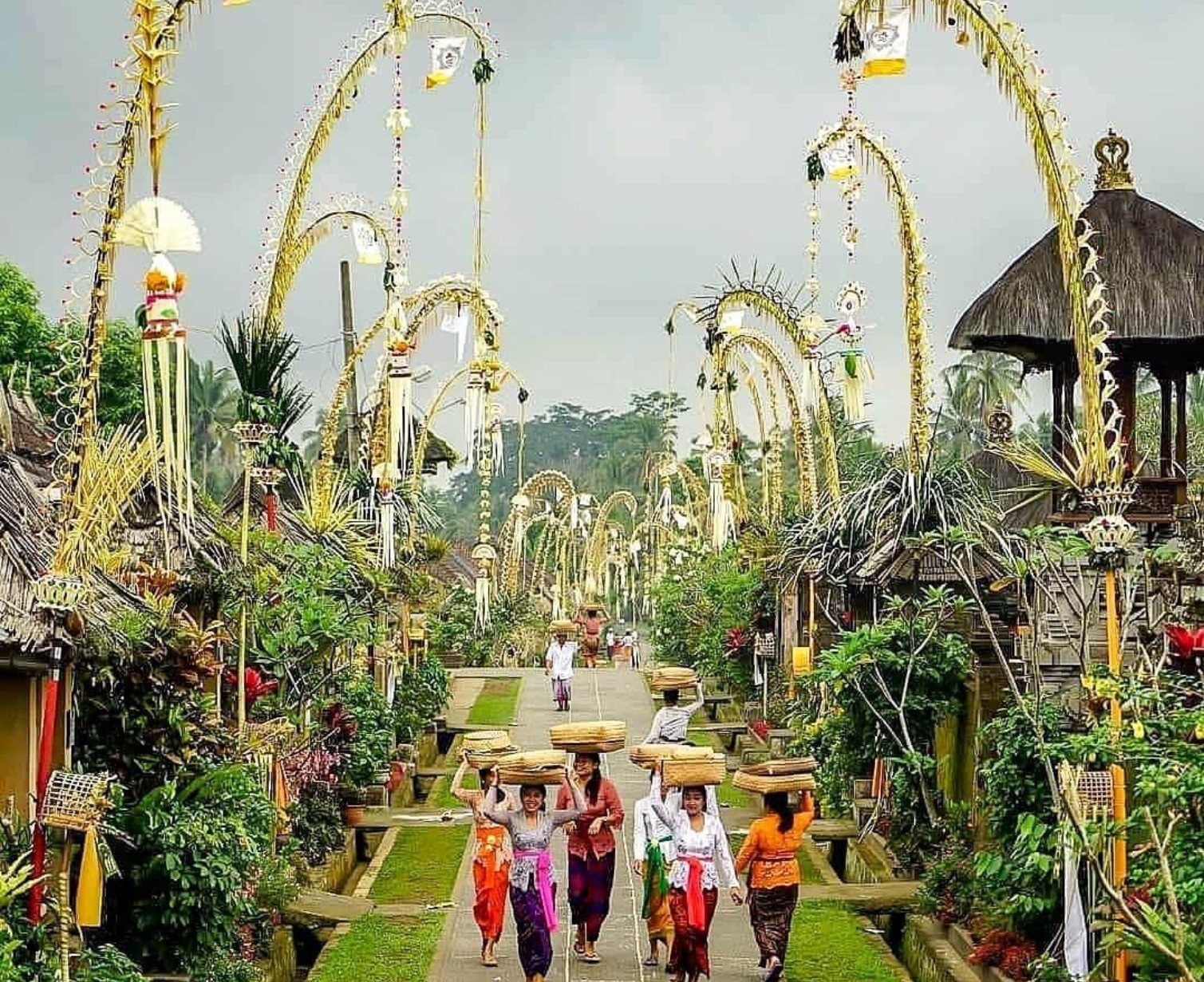 Download Trip Banner