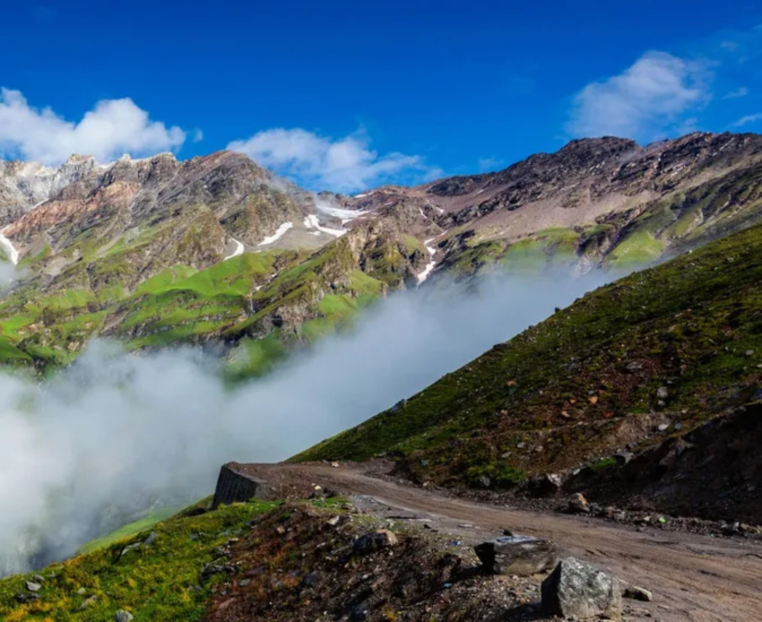 Download Trip Banner