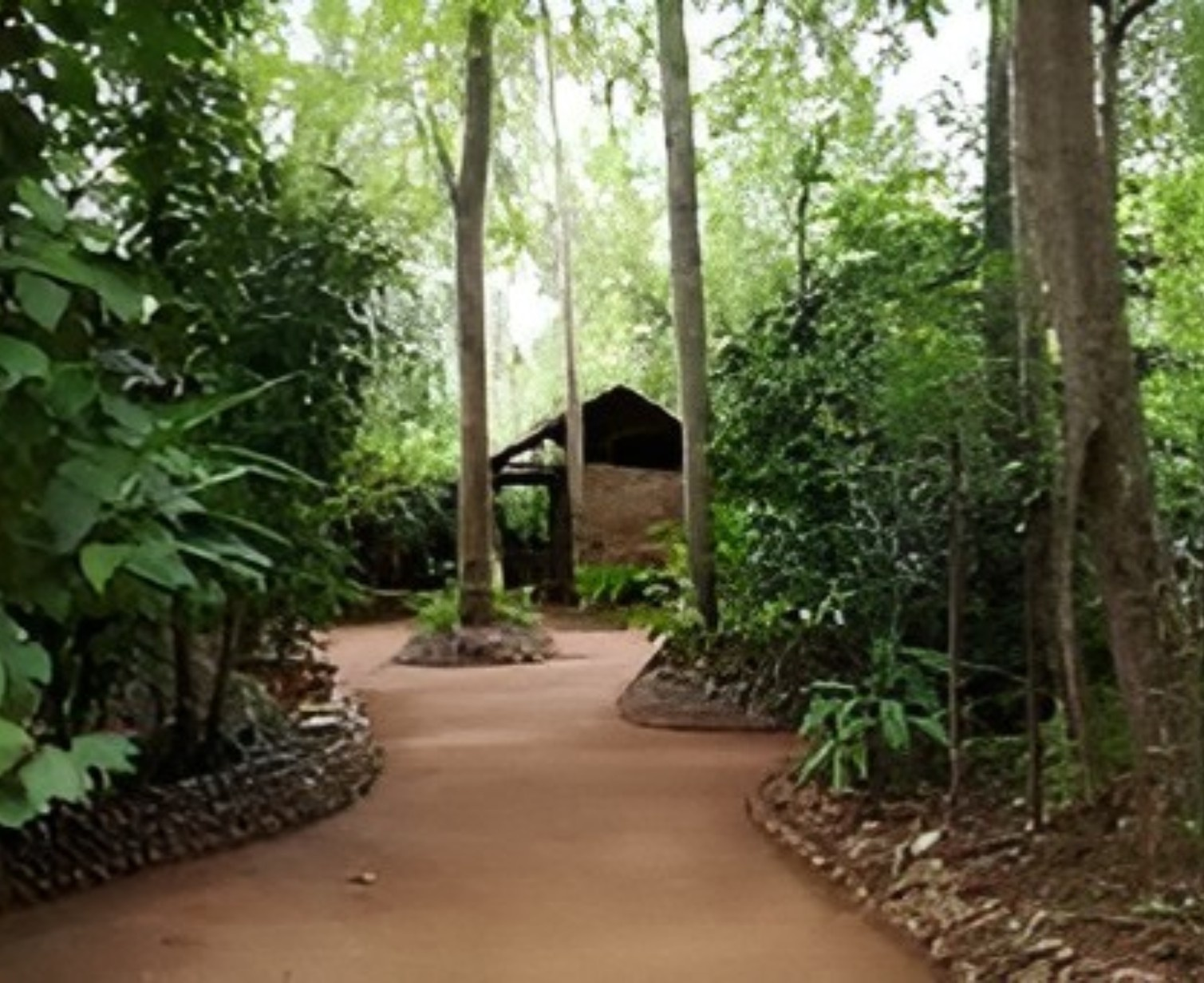 Download Trip Banner