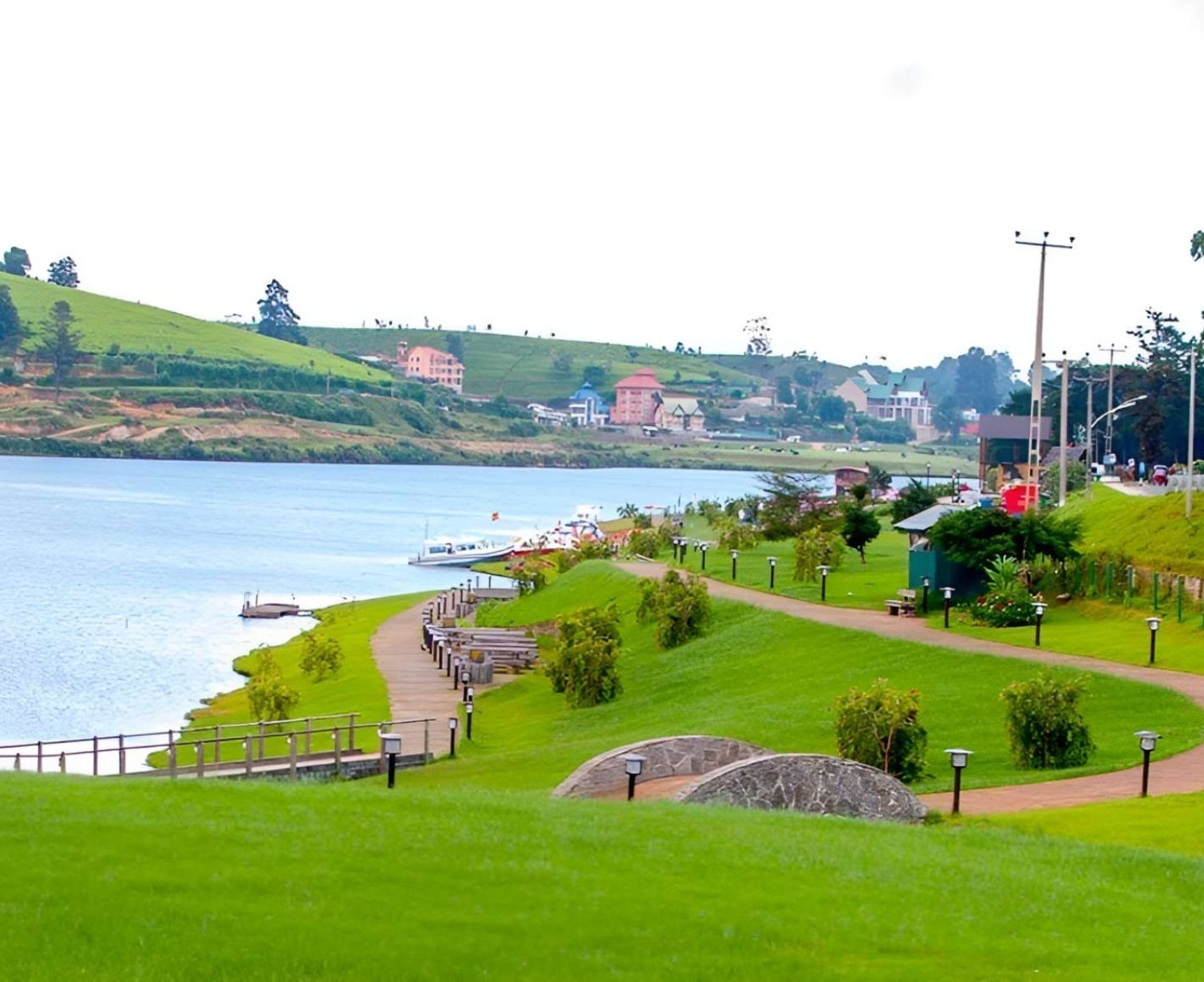 Download Trip Banner