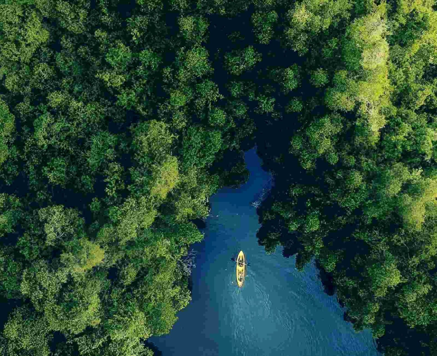 Download Trip Banner