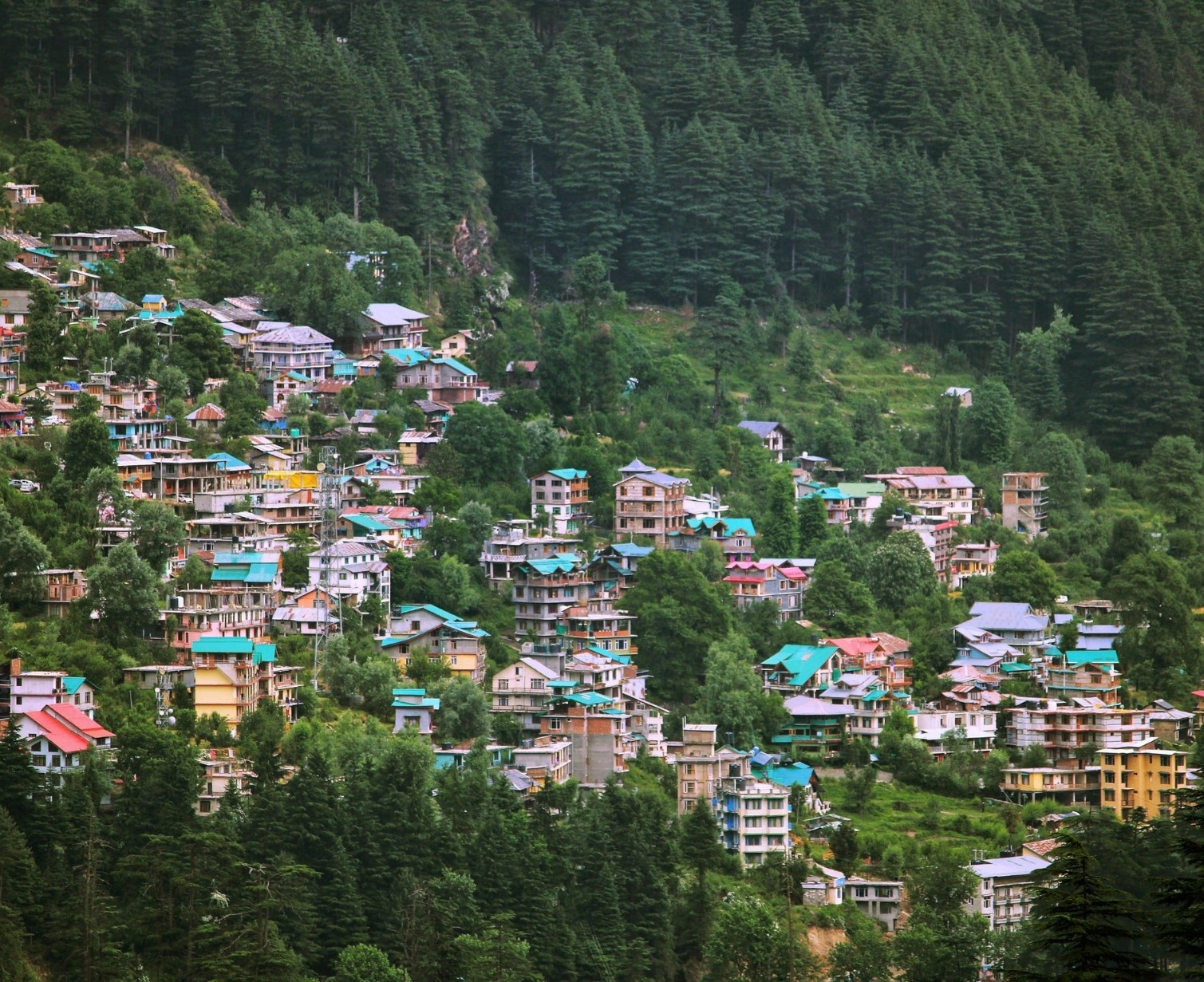 Download Trip Banner