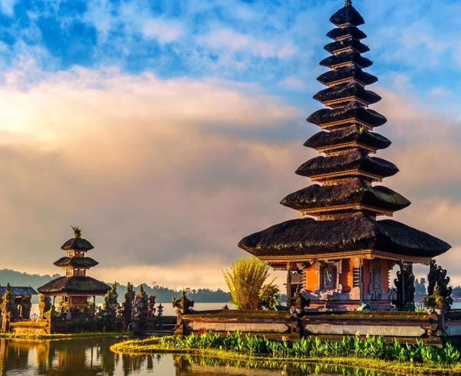 Download Trip Banner