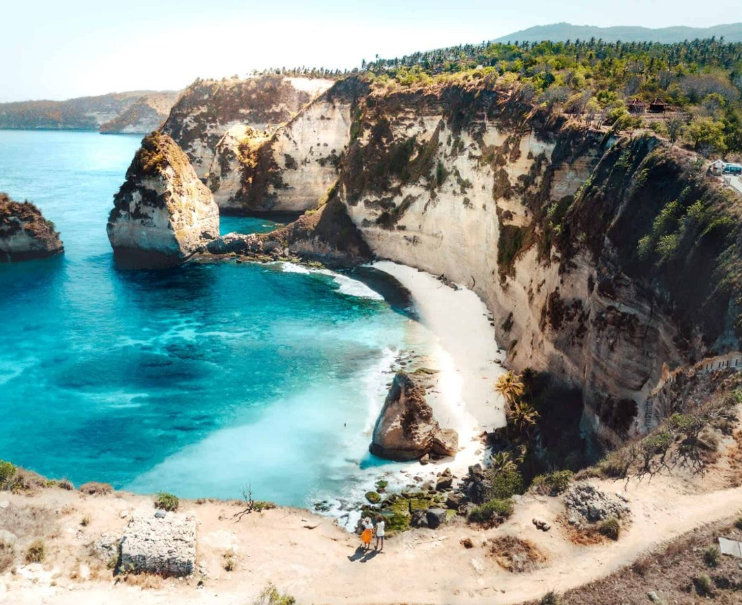 Download Trip Banner