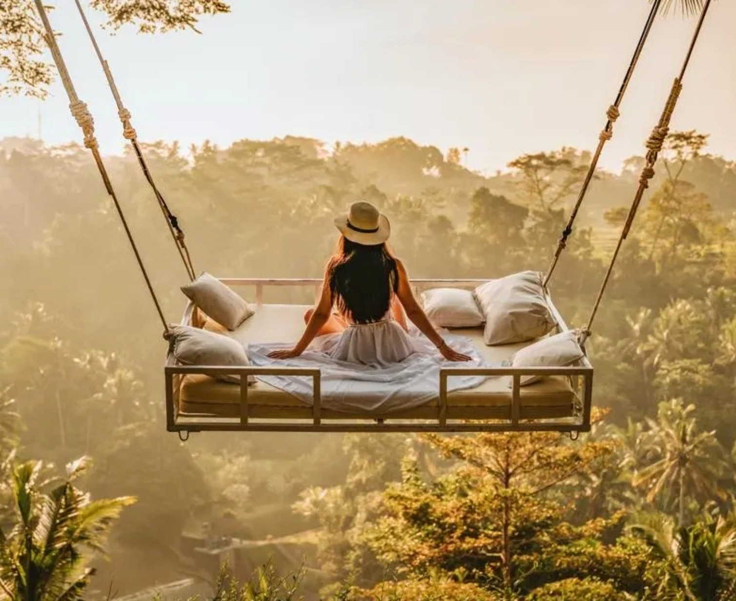 Download Trip Banner