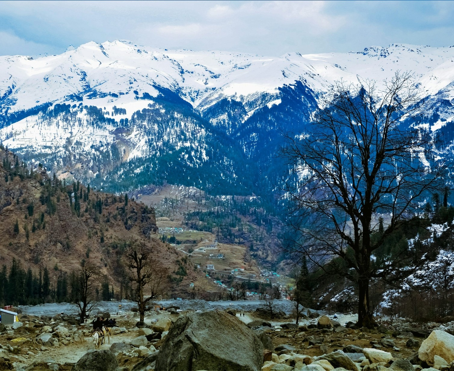 Download Trip Banner