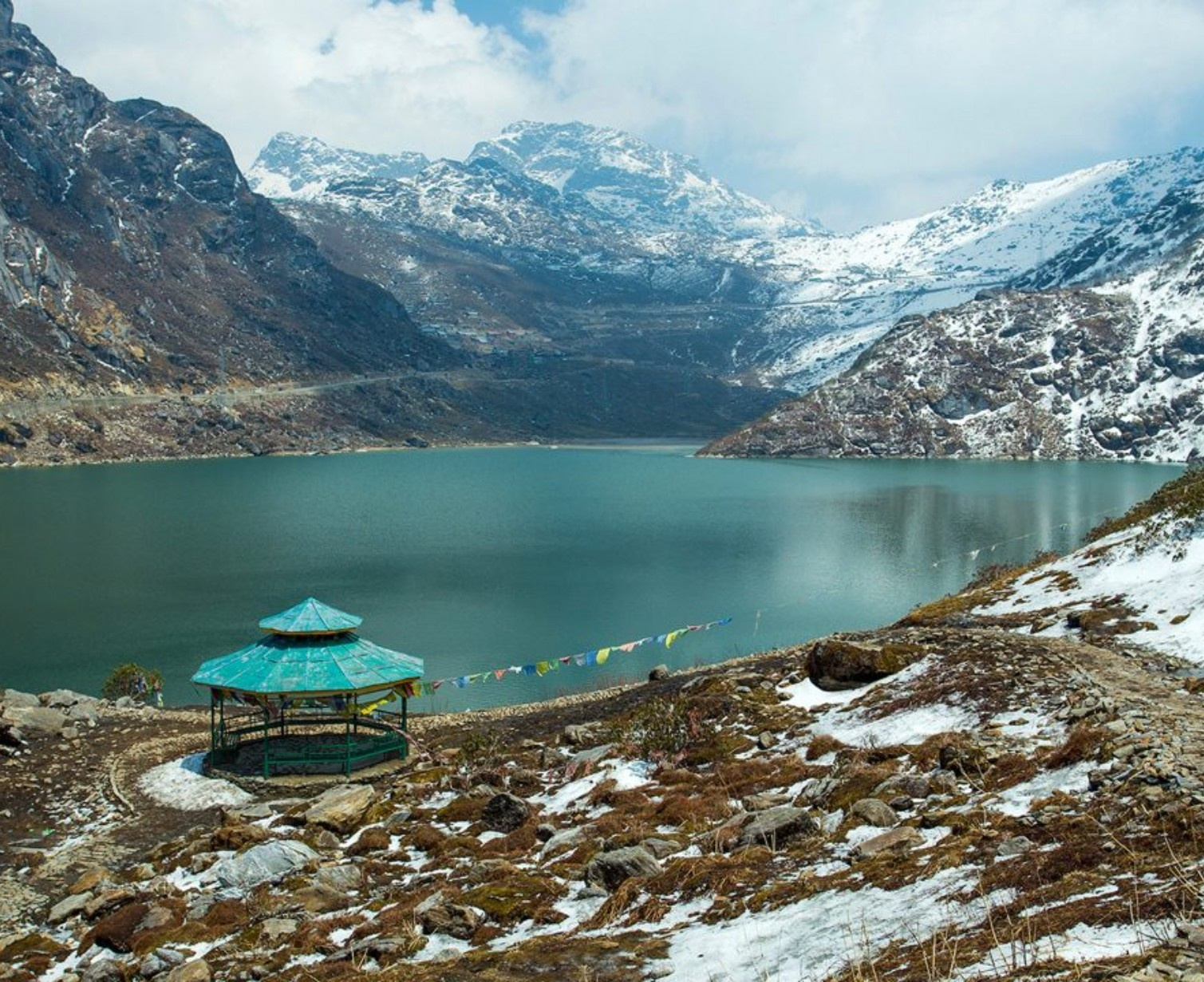 Download Trip Banner