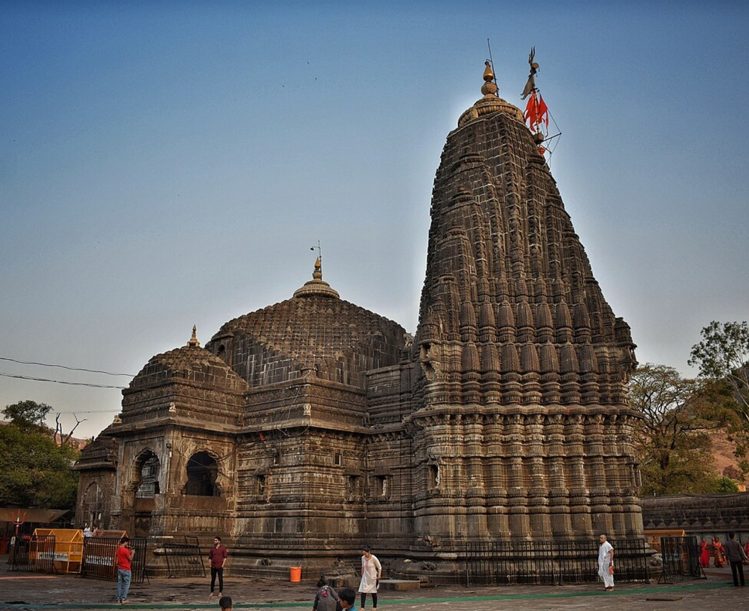 Download Trip Banner