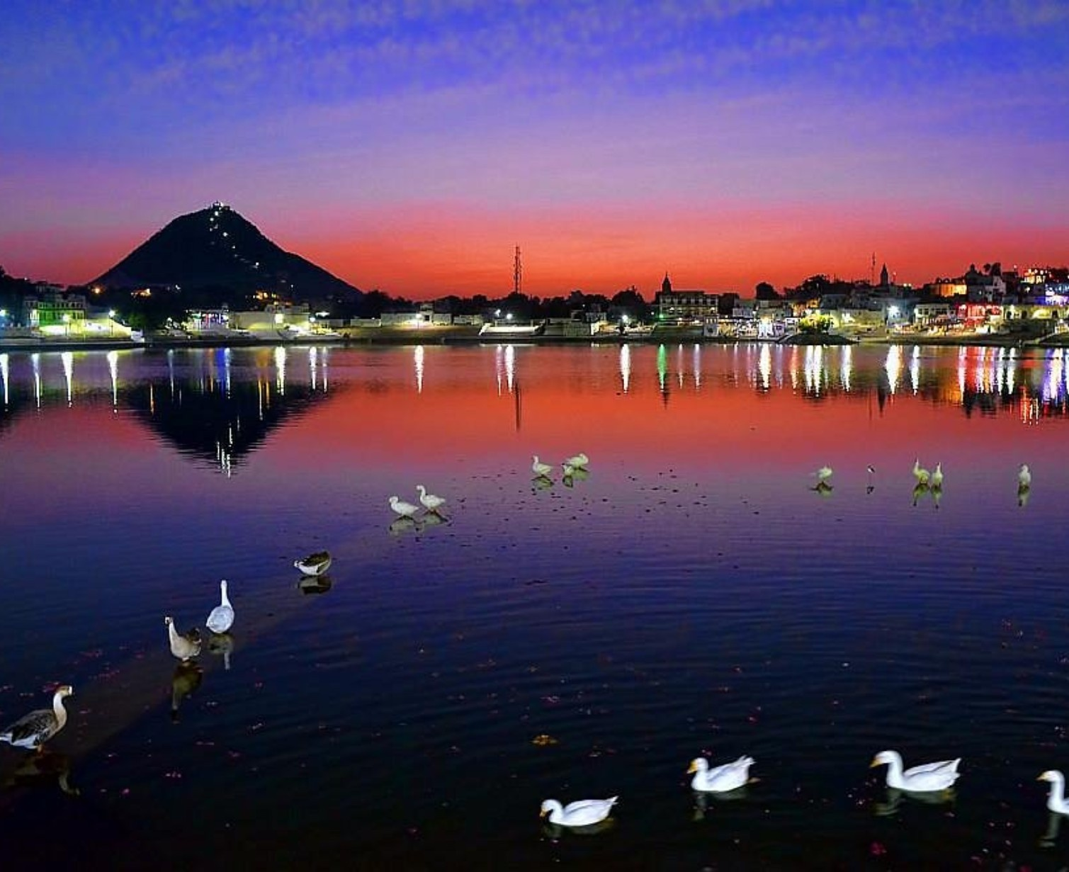 Download Trip Banner