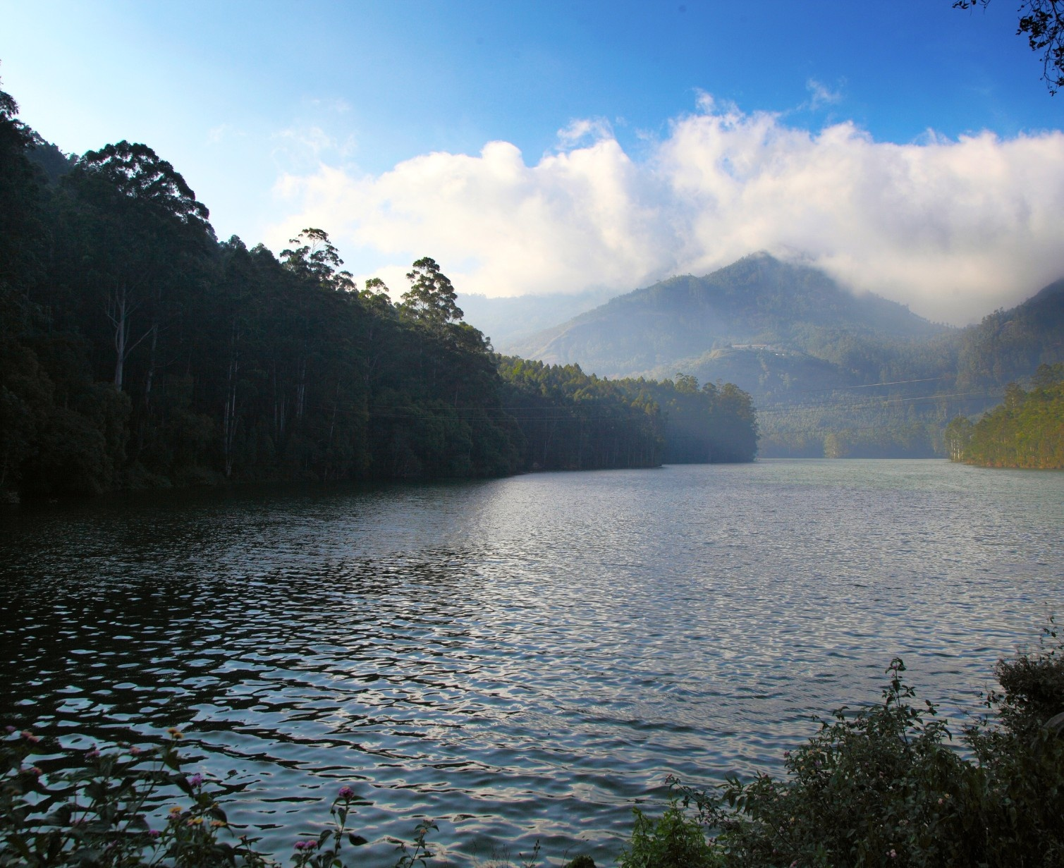 Download Trip Banner