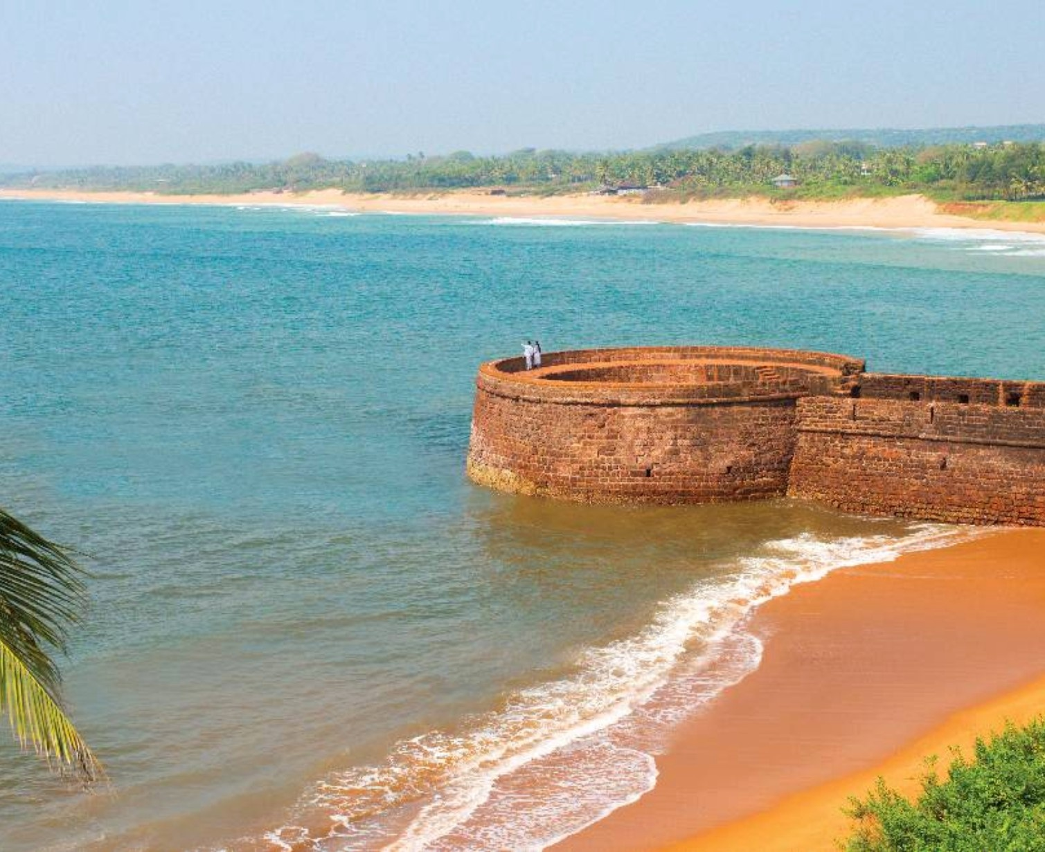 Download Trip Banner