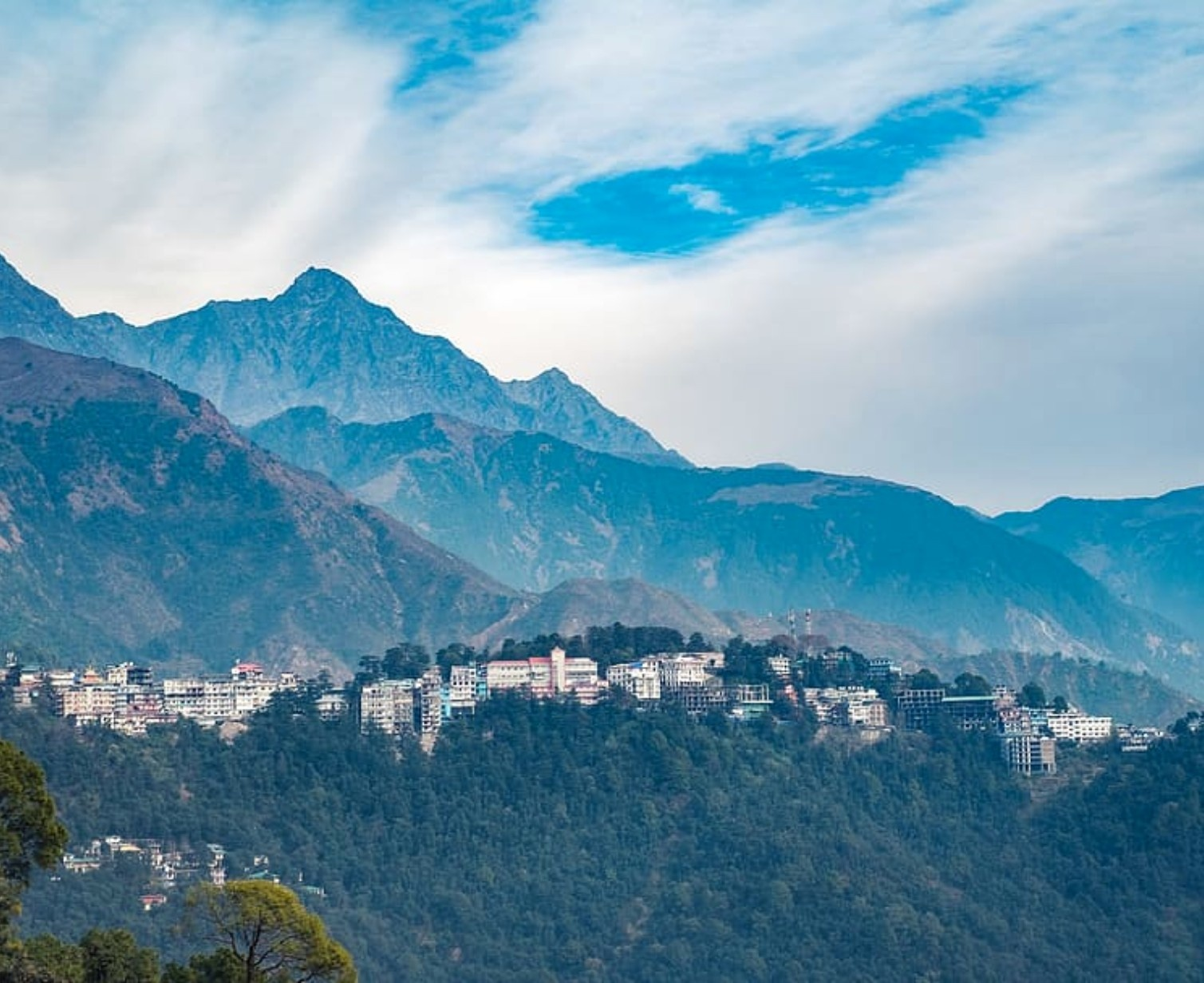 Download Trip Banner