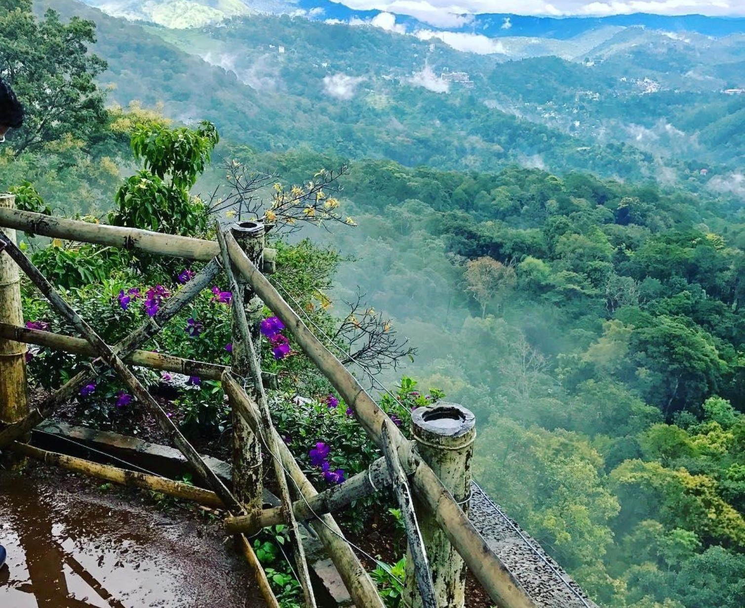 Download Trip Banner