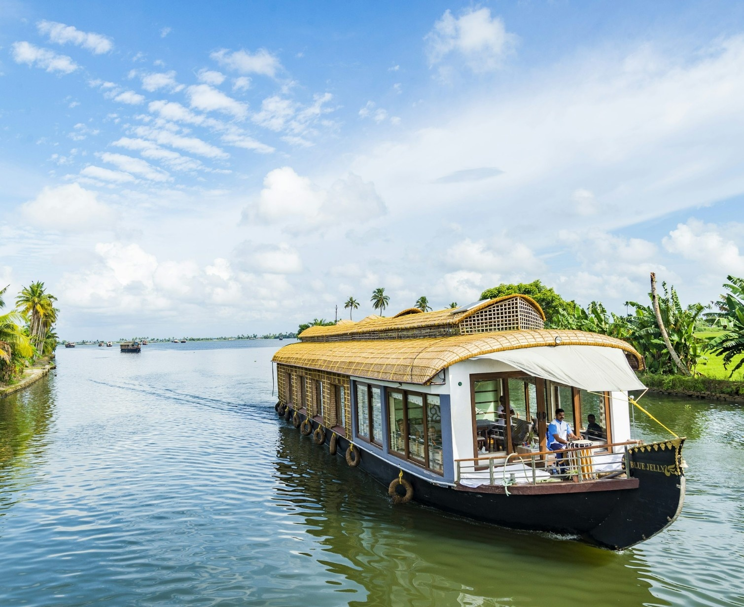 Download Trip Banner