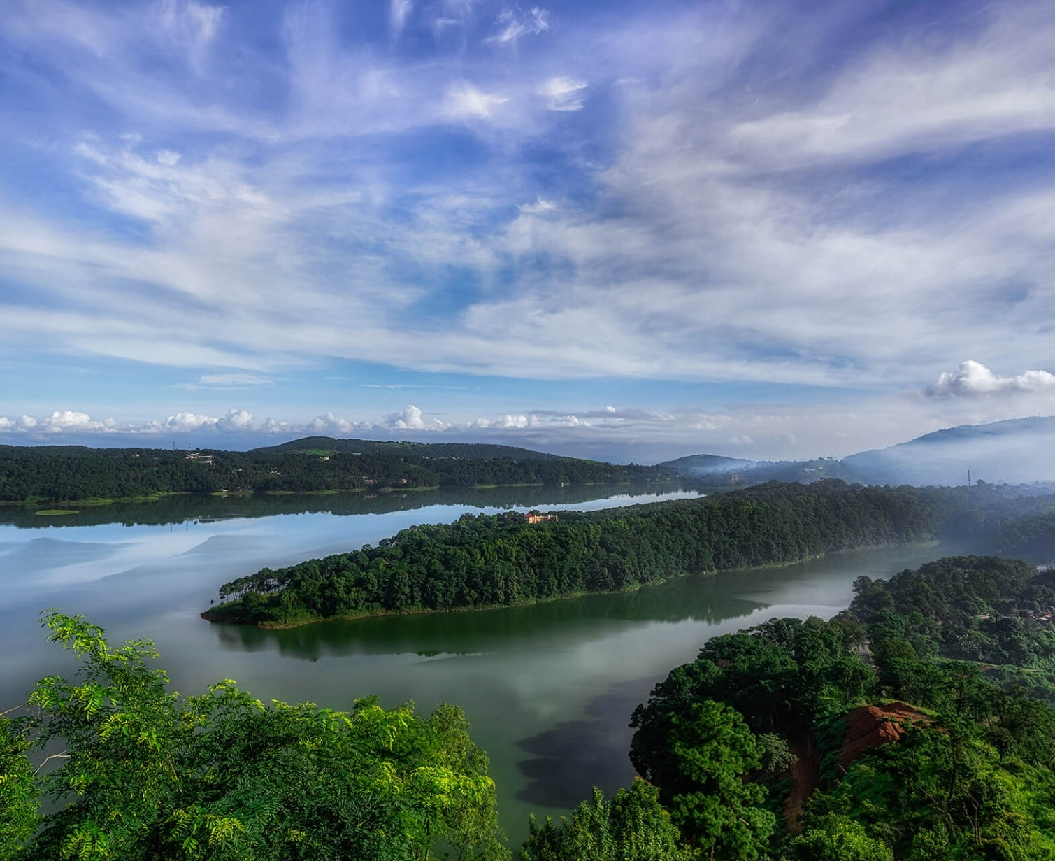 Download Trip Banner