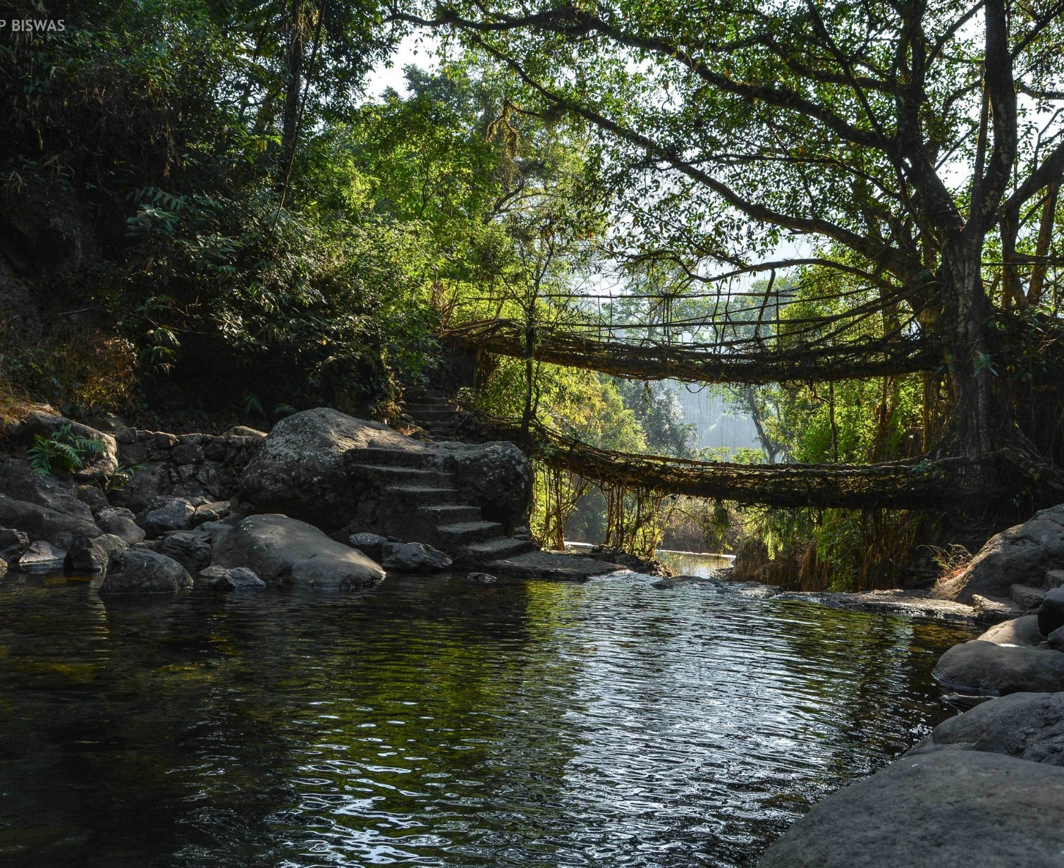 Download Trip Banner