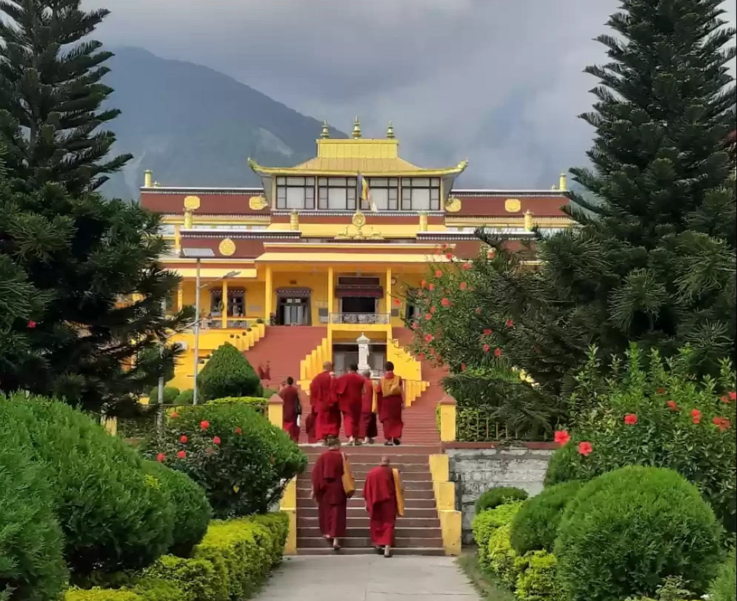 Download Trip Banner