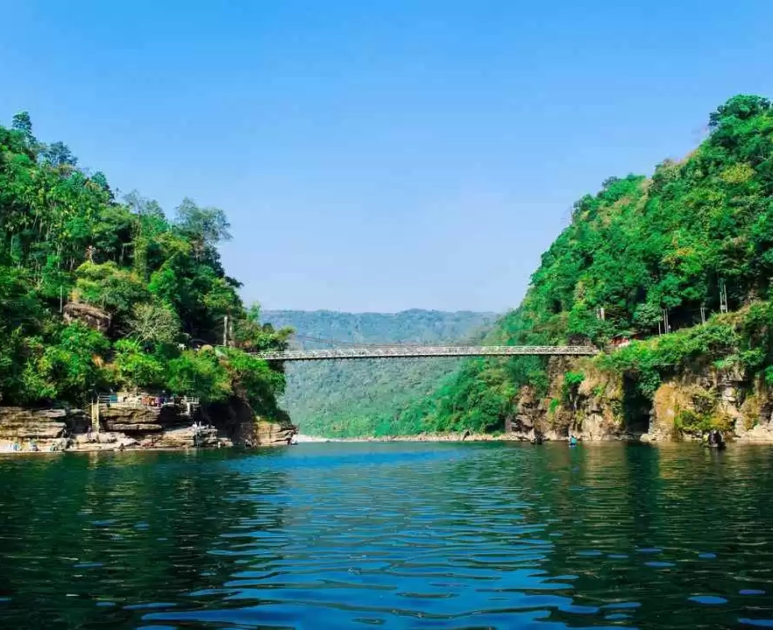 Download Trip Banner