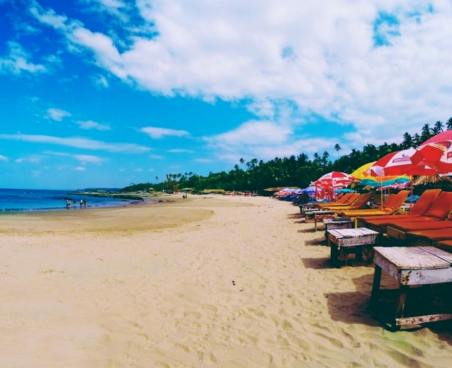 Download Trip Banner