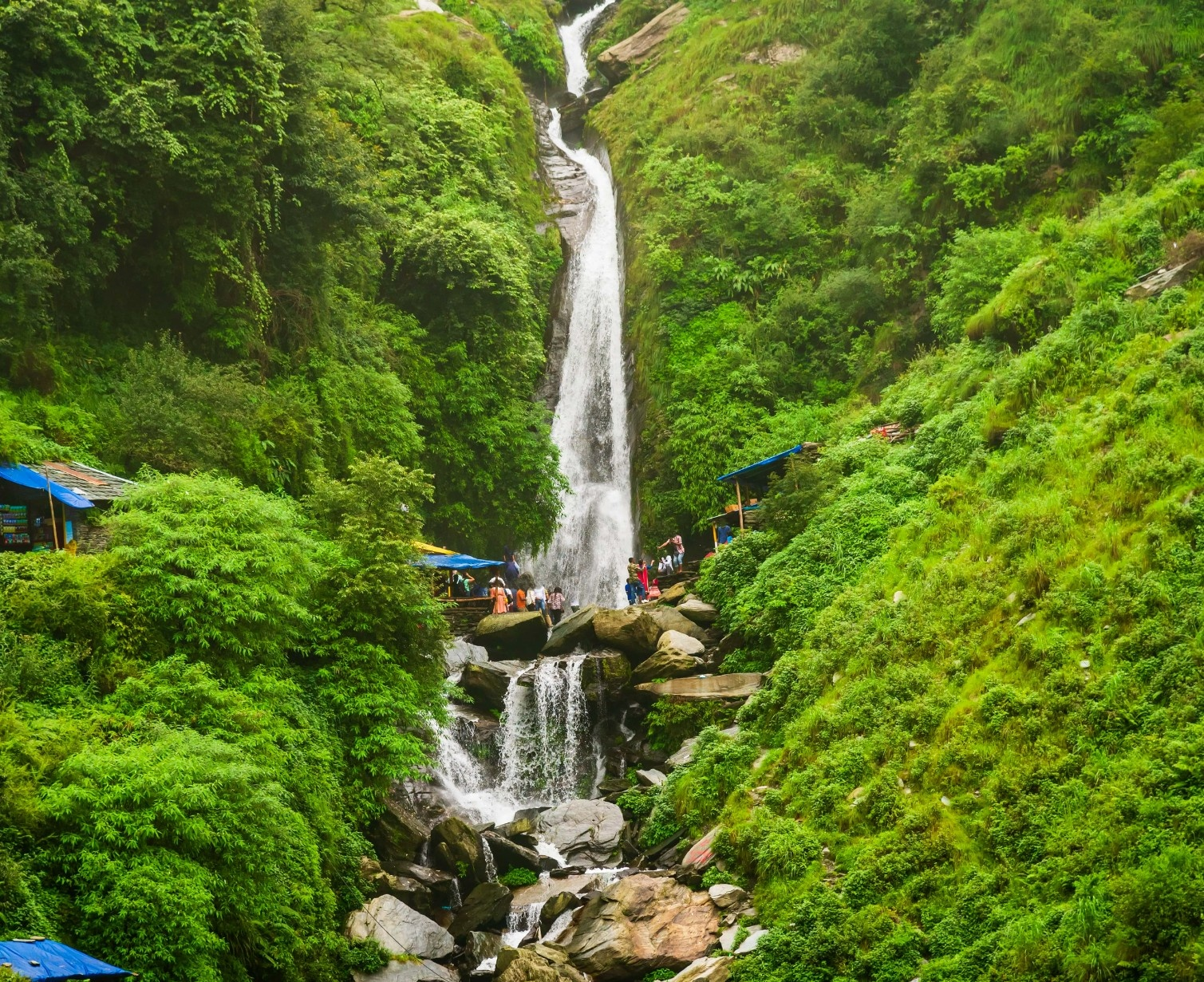 Download Trip Banner