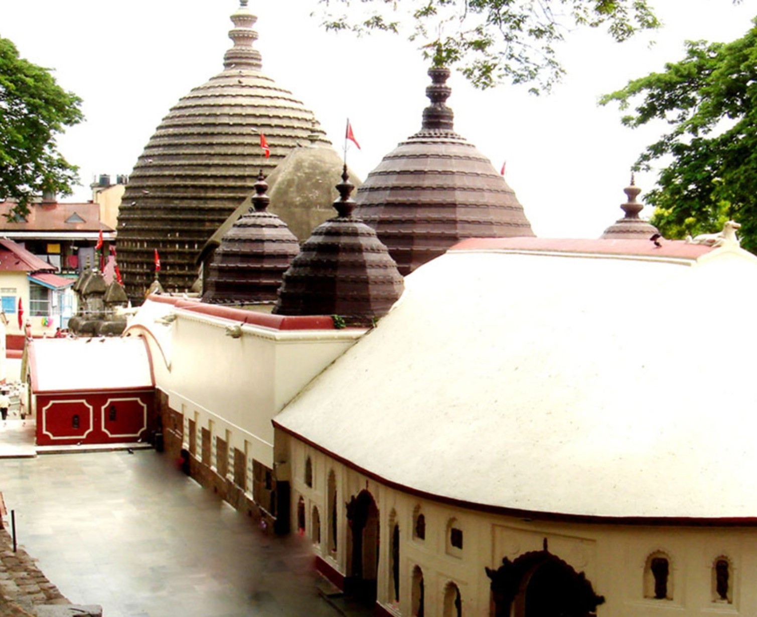 Download Trip Banner