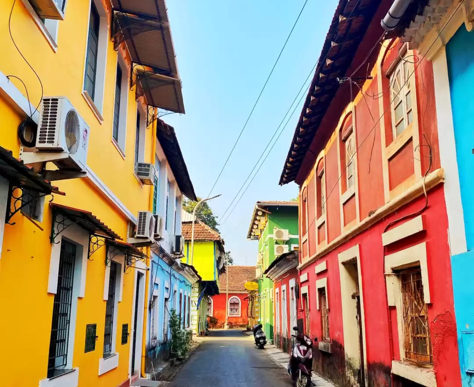 Download Trip Banner