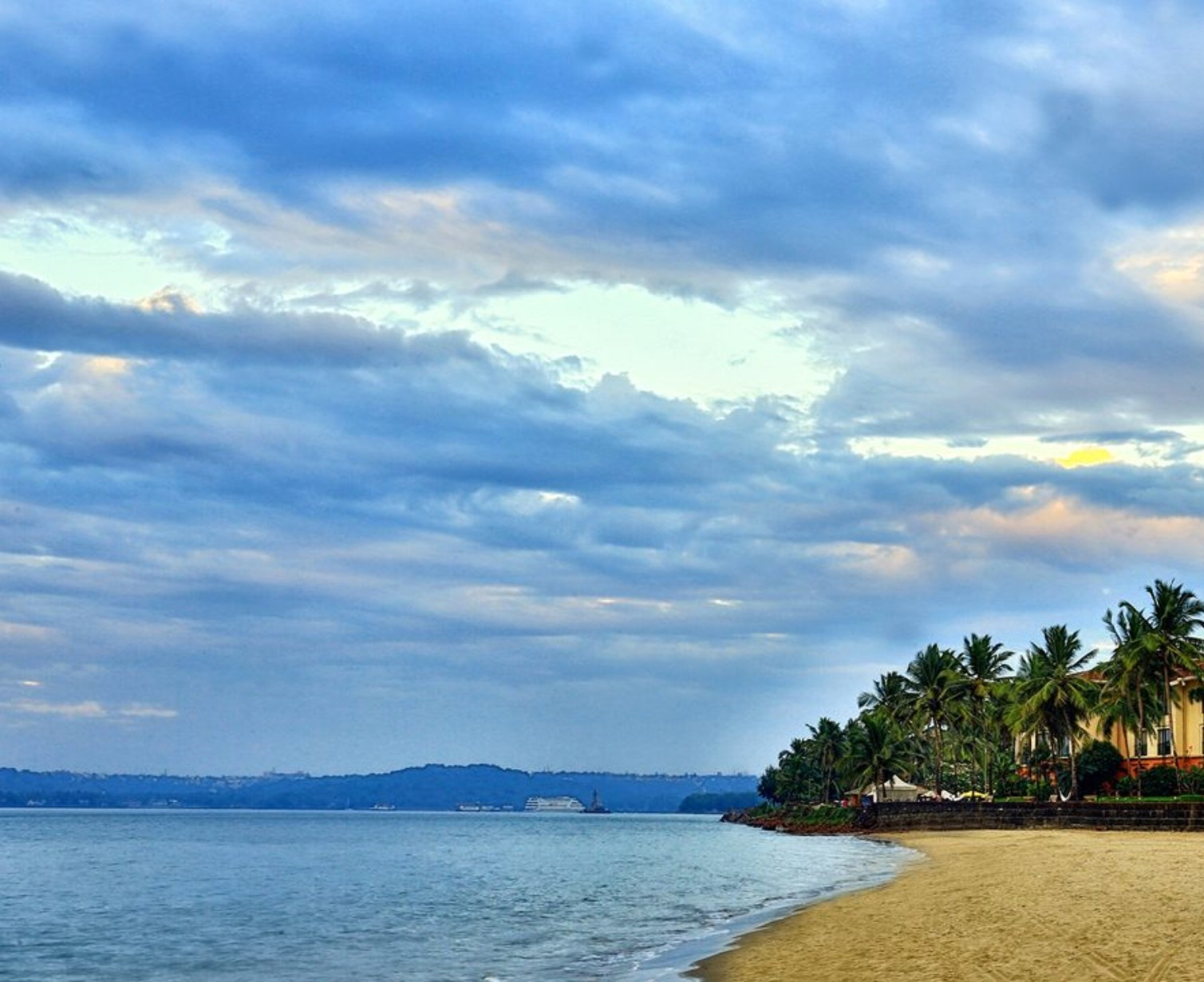 Download Trip Banner