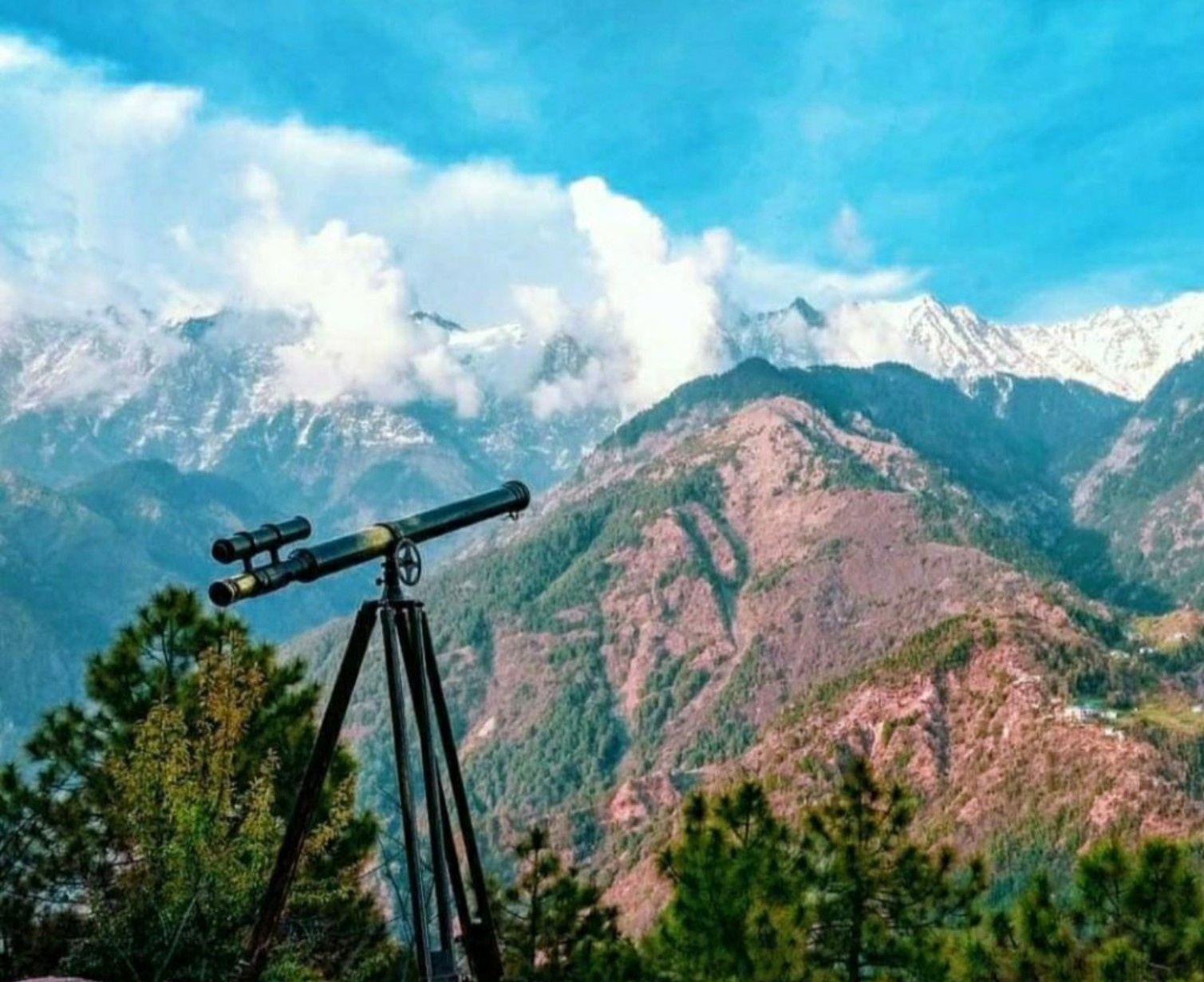 Download Trip Banner