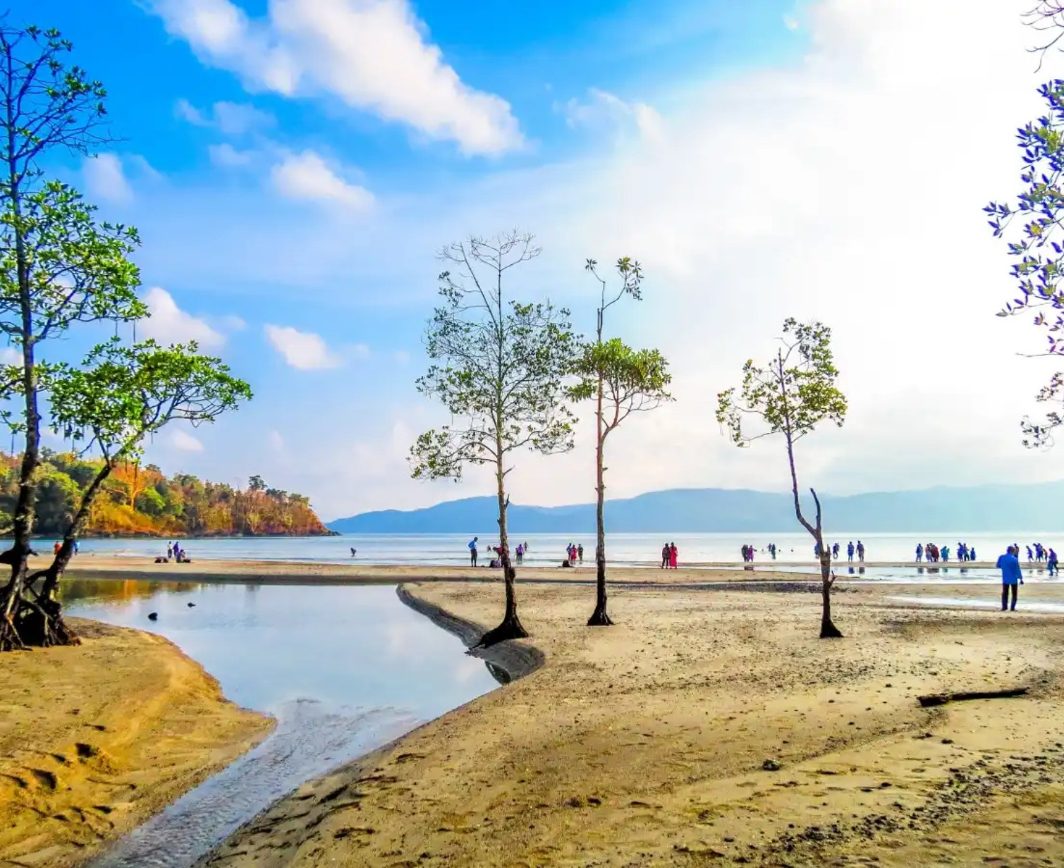 Download Trip Banner