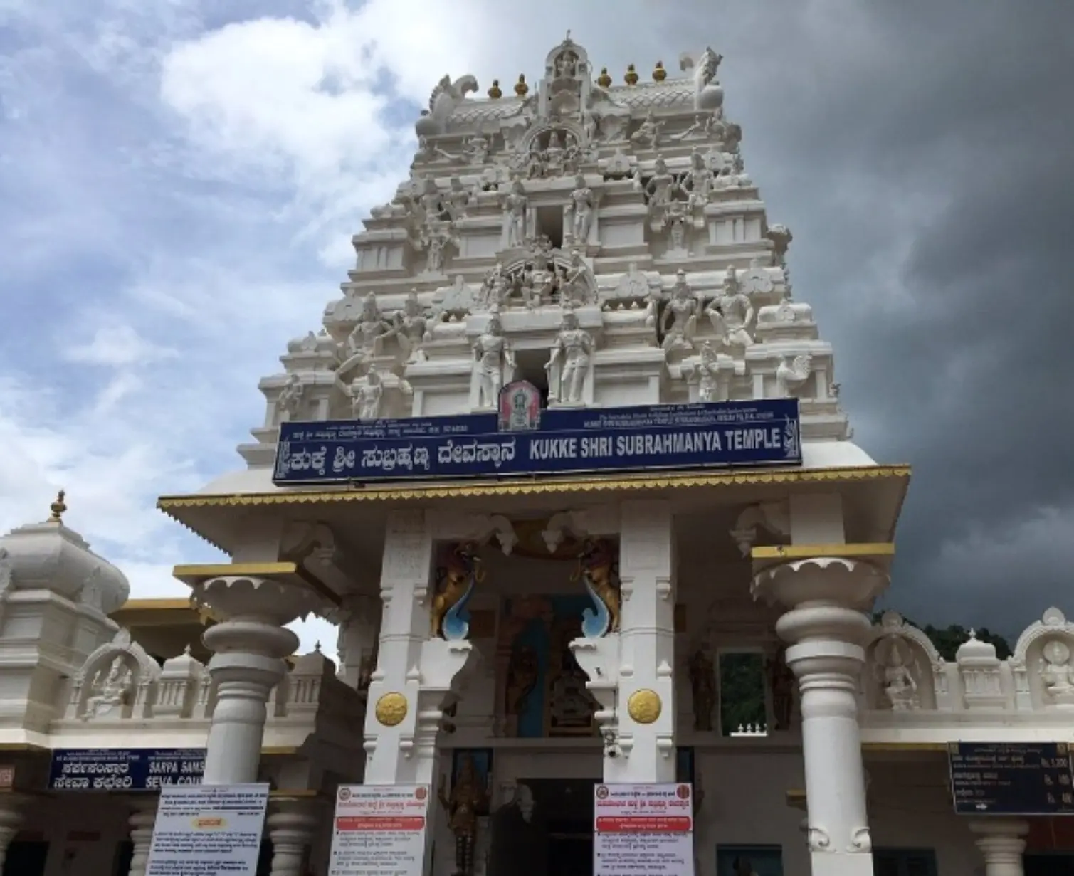 Download Trip Banner