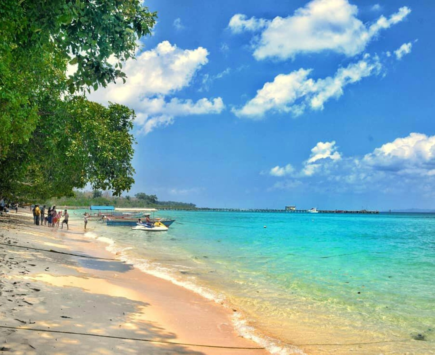 Download Trip Banner