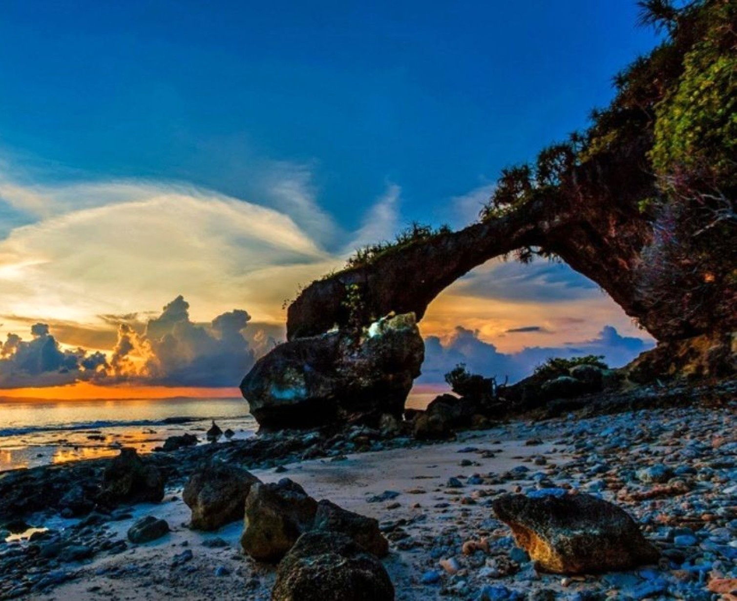 Download Trip Banner