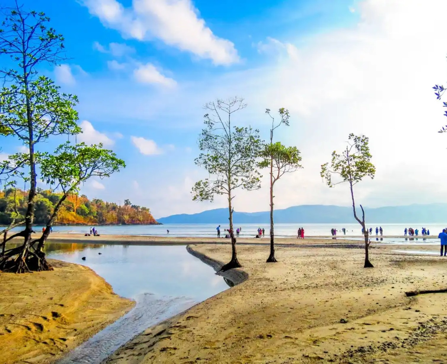 Download Trip Banner