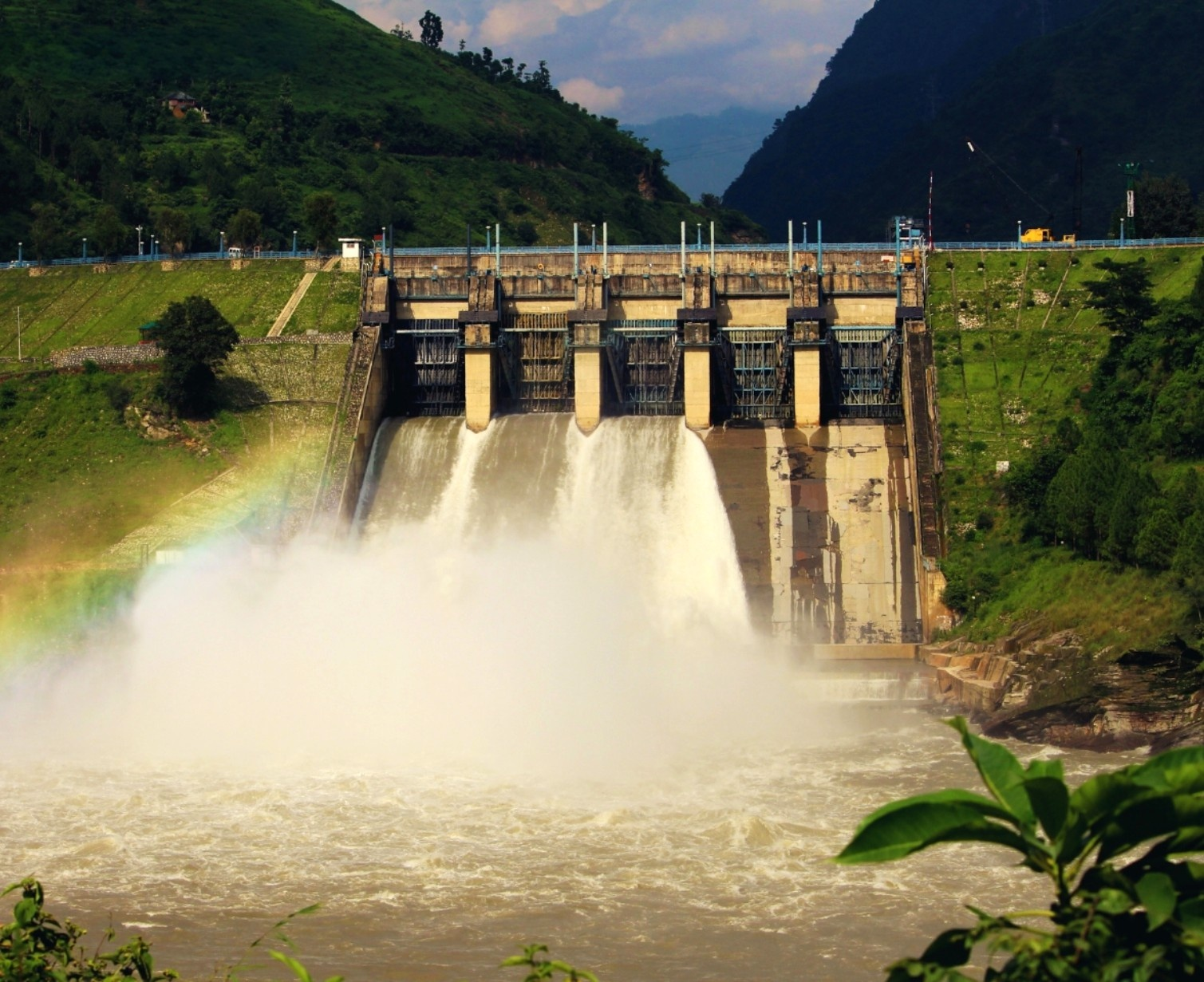 Download Trip Banner