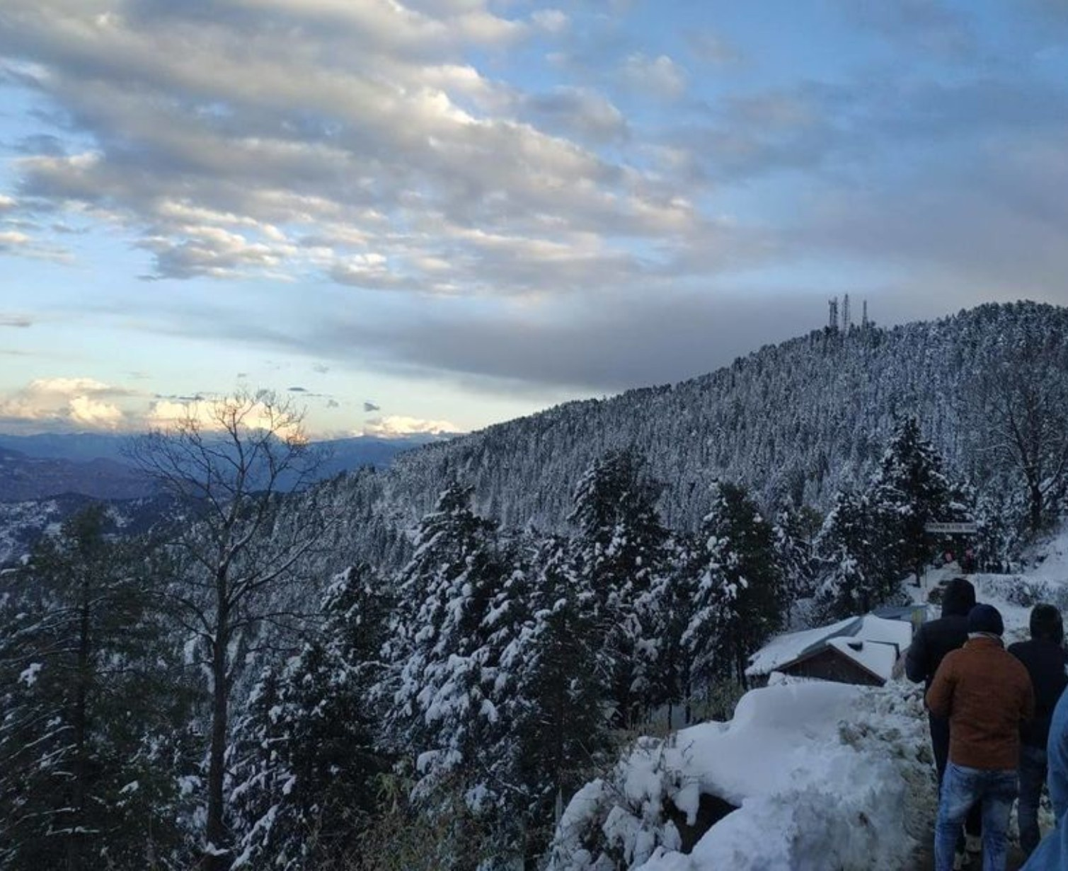 Download Trip Banner