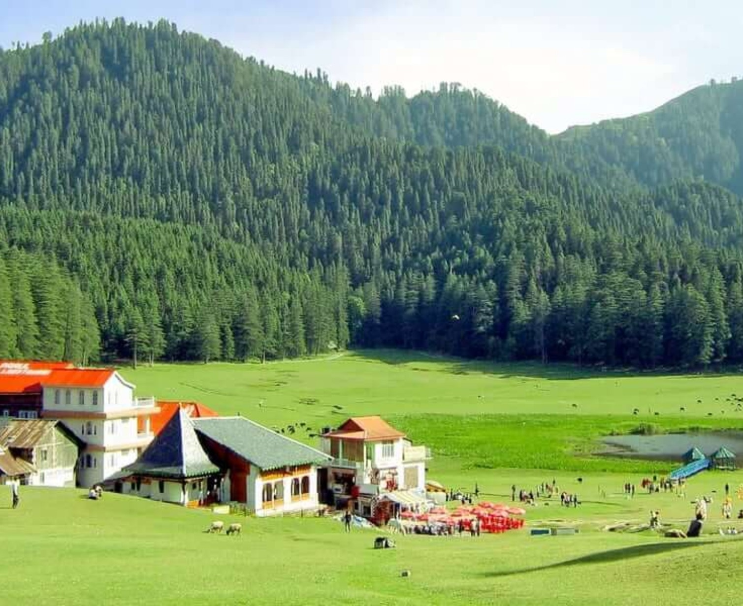 Download Trip Banner