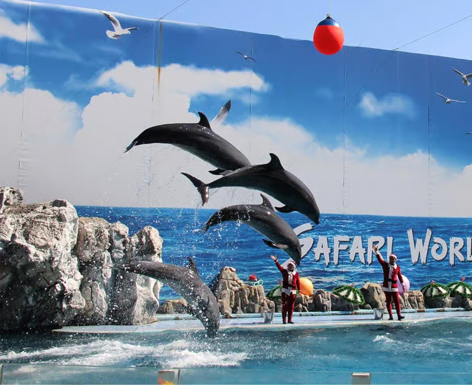 Download Trip Banner