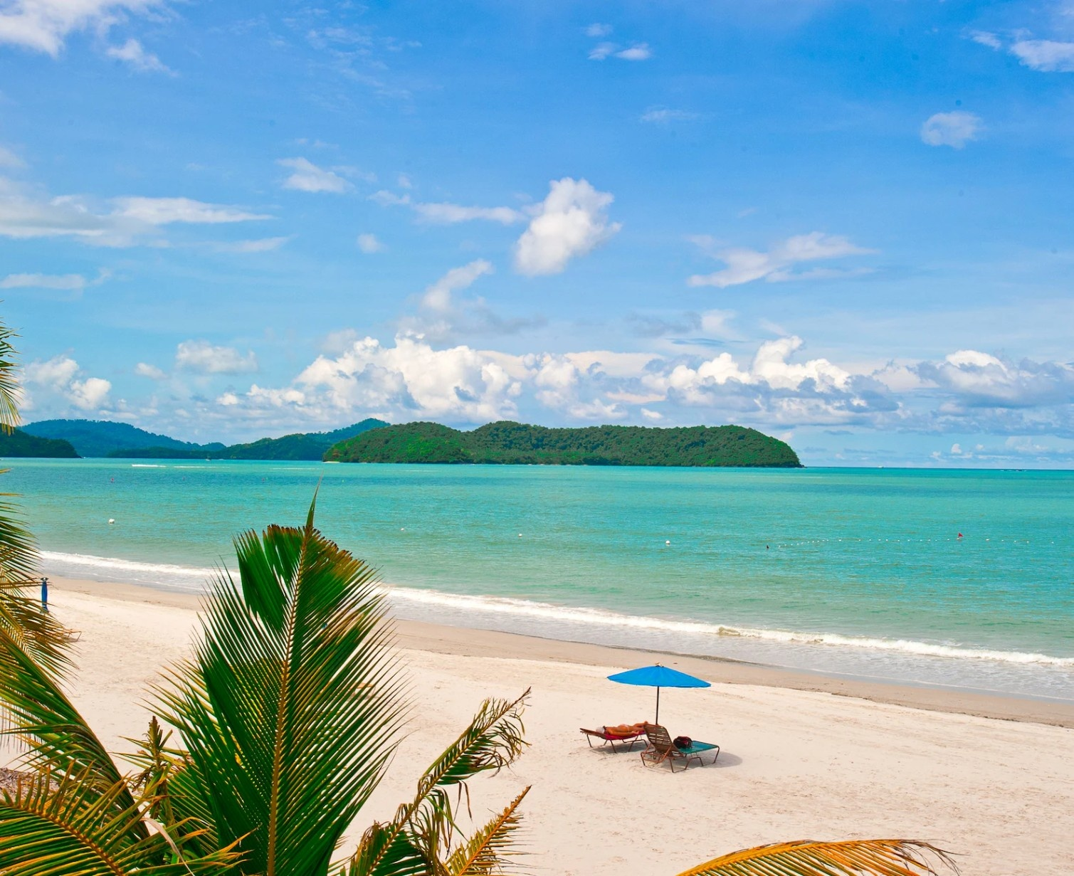 Download Trip Banner